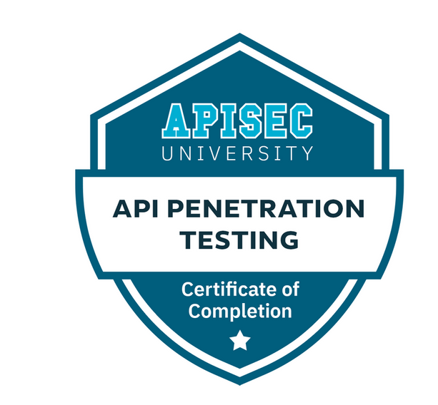 API Penetration Testing